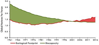 Environmental Cost in Indonesia Spillover Effect Between Consumption and Production